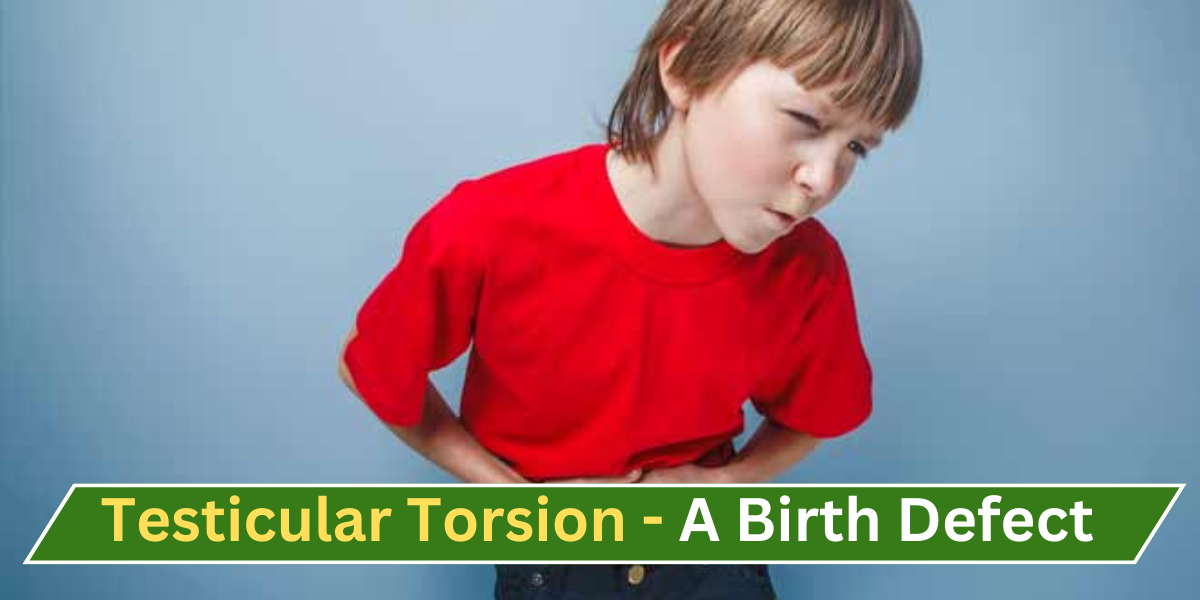 is testicular torsion a birth defect ?